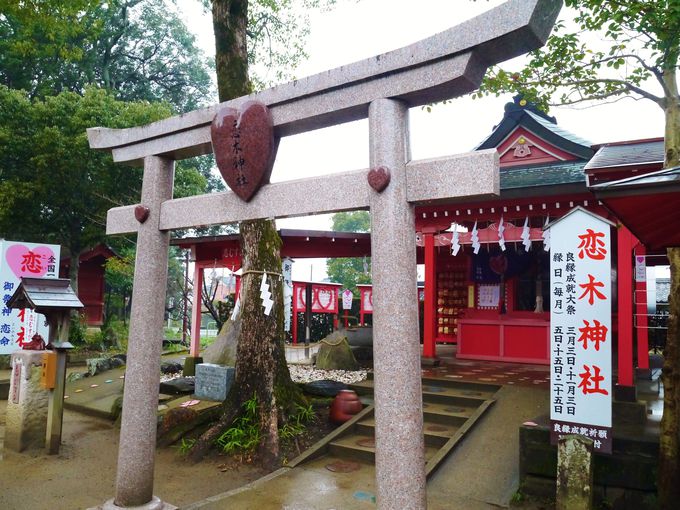 恋木神社のお守りの効果 ご利益が凄い 恋愛祈願体験談も紹介 Truth